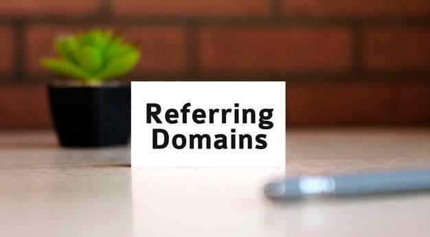 What is a Referring Domain