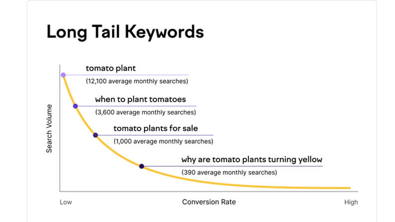 Target Long Tail Keywords