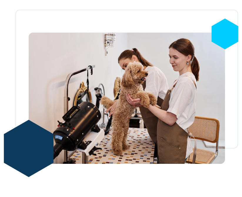 Side view portrait of smiling young woman playing with Maltipoo puppy sitting on table in luxury grooming salon copy space