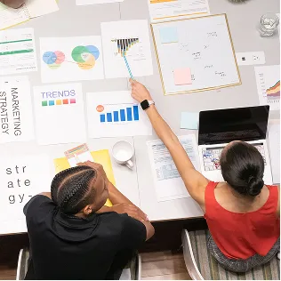 SEO services portfolio
