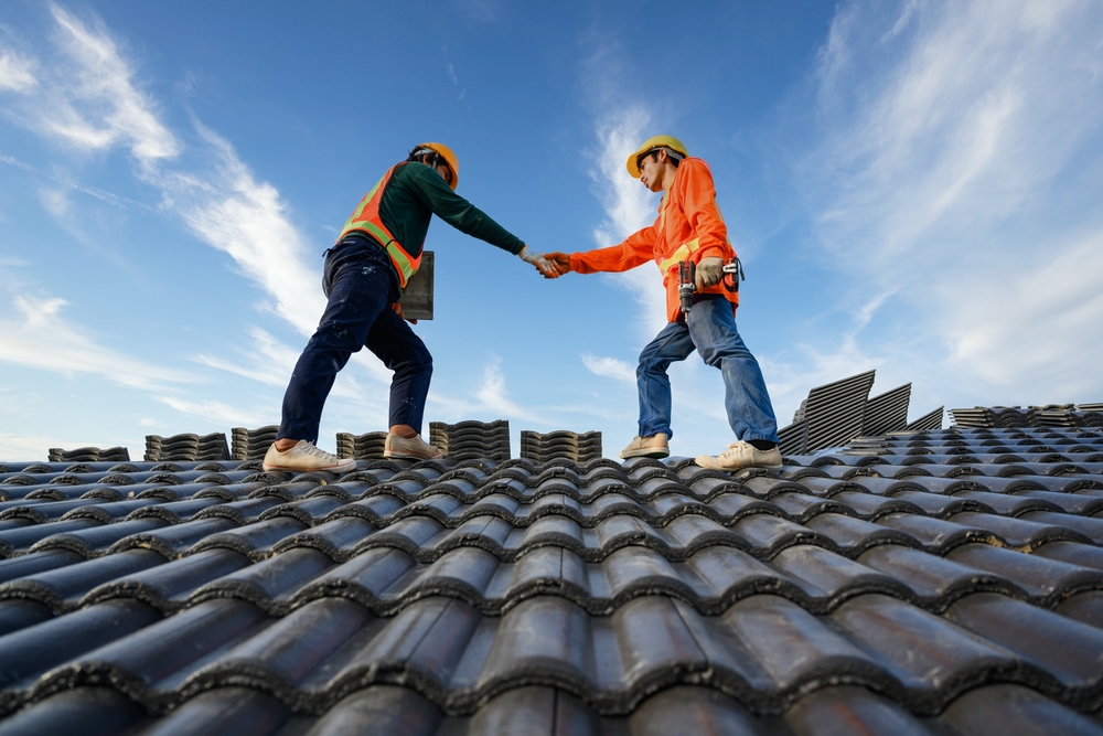 roof Ceramic or cement roof tiles